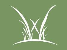 Things To Do Whisper Creek Spa